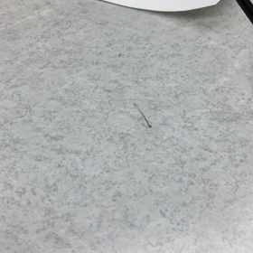 会社にて❤︎の画像