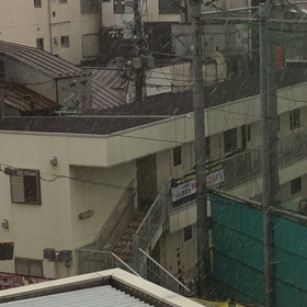 Nieves ⛄️の画像