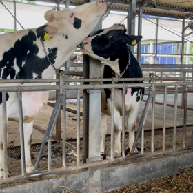 お・な・め♪の画像