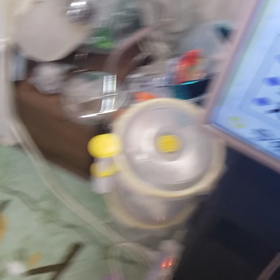 朝からLOVE❤️LOVE❤️なにゃんこ達の画像