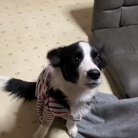 色々出来る様になりましたの画像