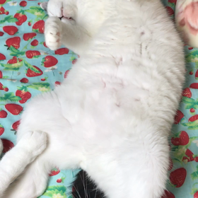 目がさめるの画像