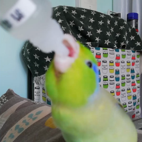 うちの可愛い子❤の画像