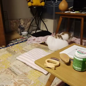 元気いっぱい!の画像