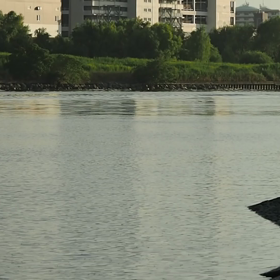 頑張ったなれの果て。暑くてグダグダからのの画像