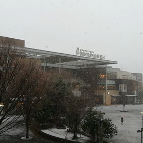 雪ですが何か。の画像