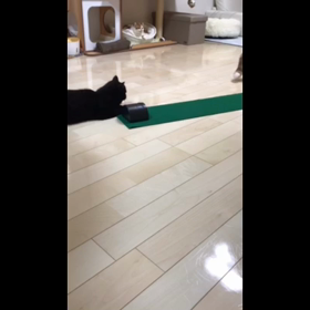 お手伝いできましゅよの画像