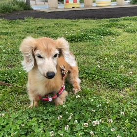 今日のパッチ♪の画像