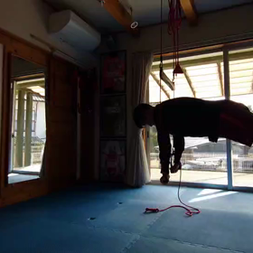 運動機能が日々向上しています。の画像