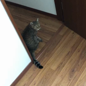 おはようの画像