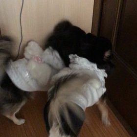 お帰り〜の画像