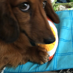 ６１０円の巻の画像