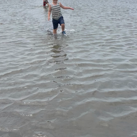 臨海公園、海、動画の画像