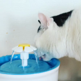 伊豆旅行。の画像