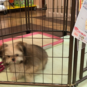 本日の店内は…の画像