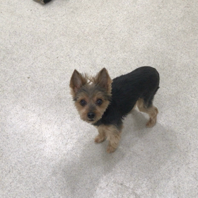 ♪プレイルーム動画♪の画像