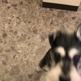 焦るぼくの画像