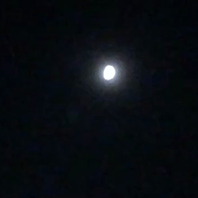 9/10の画像