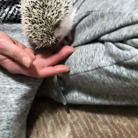 イターーーイ(TT)の画像