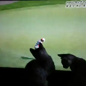 ギャラリーの画像