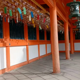 きょうの散歩道の画像