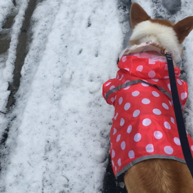 引きこもって埼玉☆の画像