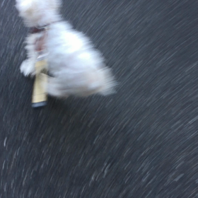 楽しそう(o^∀^o)の画像