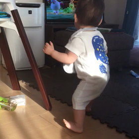 繰り返し繰り返し立ち上がる❗の画像