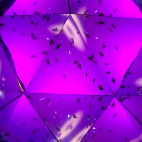 アク和リクムの画像