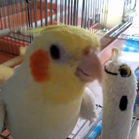 おうた？の画像