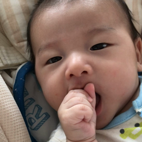 拳をペロペロの画像