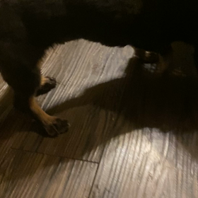 超ーースペシャルミラクルスーパー奇跡！！の画像