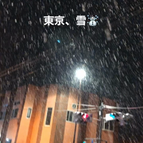 鑑定書は手書き✨の画像