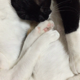 ダブルでぺろぺろ(^^)の画像