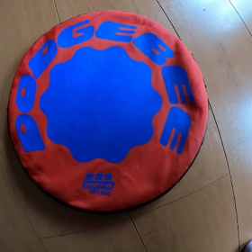 今日もフリスビーの画像