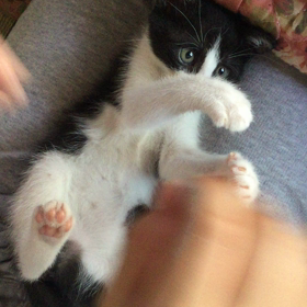 今日は敬老の日の画像
