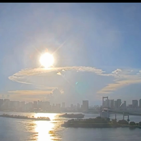 【夕方の…単品】20/08/30の画像