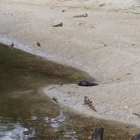 5/29wed.③底地ビーチにての画像