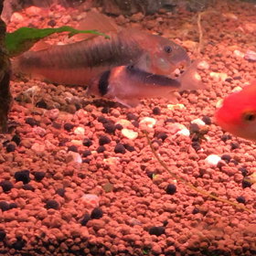 おはようございます、2020/04/02。の画像