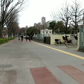 男子ロード練習⑤の画像