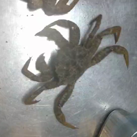 #もし宝くじ1億円当たったらの画像