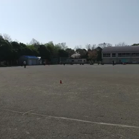 4月9日 10色リレー 25の画像