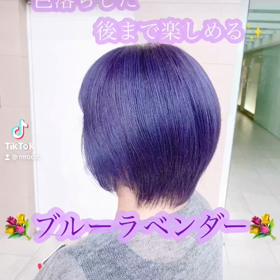 ブルーラベンダーの画像