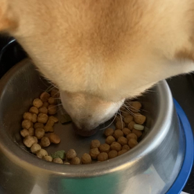 ガツガツ(๑>◡<๑)の画像