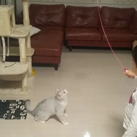 お兄ちゃんと遊びの画像