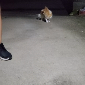 夜のひととき✨の画像