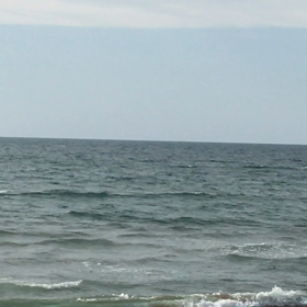 見つけた〜♪幸運のクジラ♡♡♡の画像