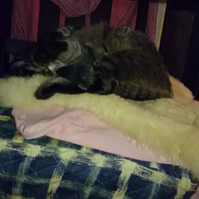 ちょっと心配の画像