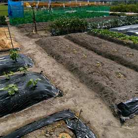 畑の向こう側には┅の画像