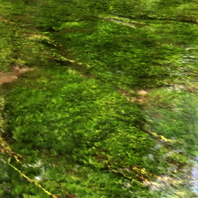 【168日目】自然の中にいるとエネルギーが満ちる✨の画像